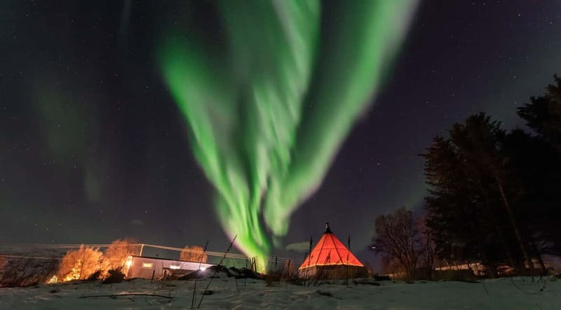 Tromsø: Aurora Safari Chase with Photos - What the coach adds to a winter night