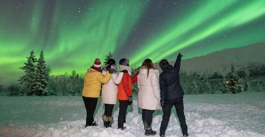 Tromsø: Aurora Safari Chase with Photos - Waiting for the Northern Lights