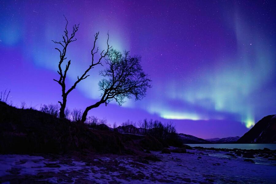 Tromsø: Aurora Tour with Photos, Campfire and Arctic Food - The aurora hunt and the value of patience