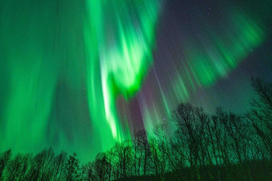 Tromsø: Aurora Tour with Photos, Campfire and Arctic Food - Photography: useful help, not just a souvenir
