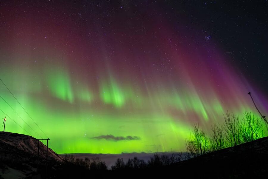 Tromsø: Aurora Tour with Photos, Campfire and Arctic Food - What the guides add to the night