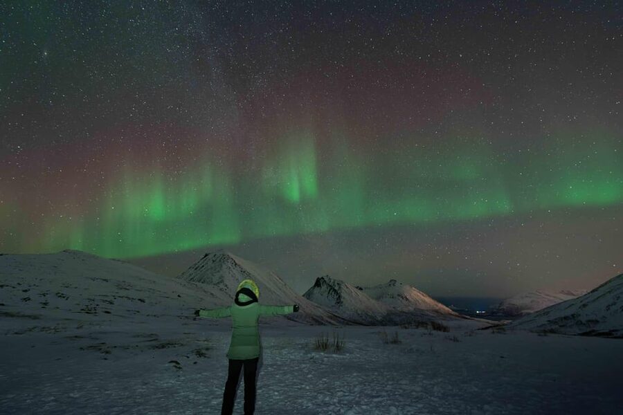 Tromsø: Aurora Tour with Photos, Campfire and Arctic Food - Is $304 a fair price?