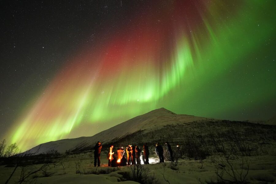 Tromsø: Chase Aurora in Minibus and Free Aurora Portrait - Starting at Kirkegata 2 in Tromsø