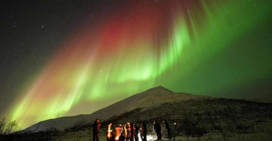 Tromsø: Chase Aurora in Minibus and Free Aurora Portrait - The guide makes the chase work