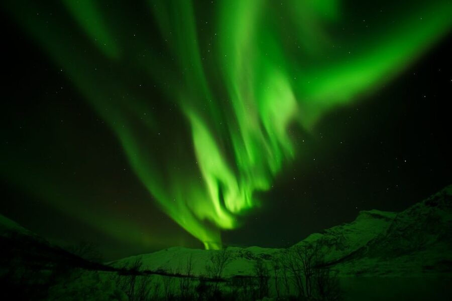 Tromsø: Chase Aurora in Minibus and Free Aurora Portrait - Waiting beneath the sky at the campsite