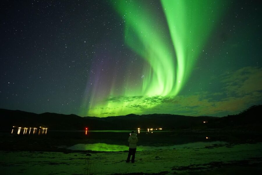 Tromsø: Chase Aurora in Minibus and Free Aurora Portrait - The free aurora portrait is genuinely useful