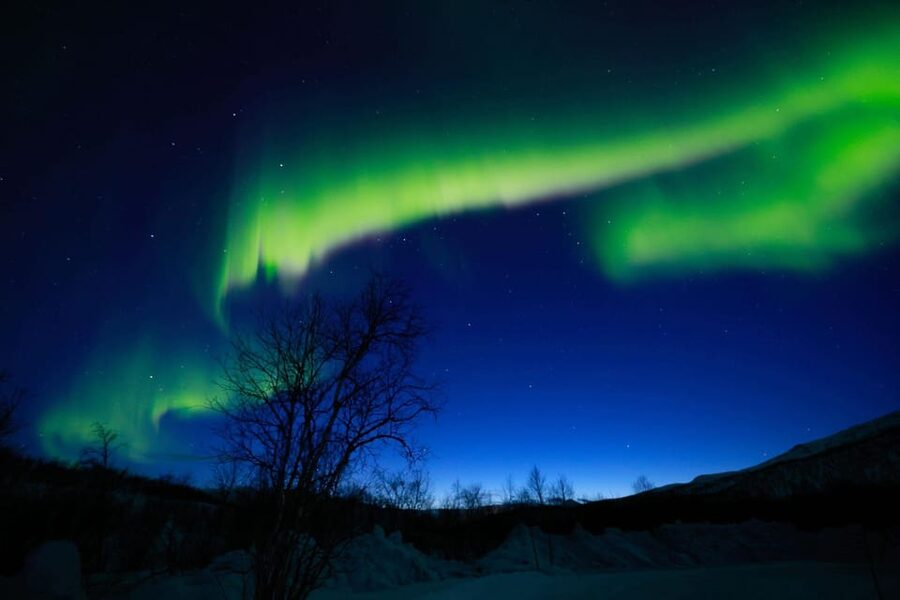 Tromsø Chinese Aurora Tour - Bonfire food and the small comforts of a long night