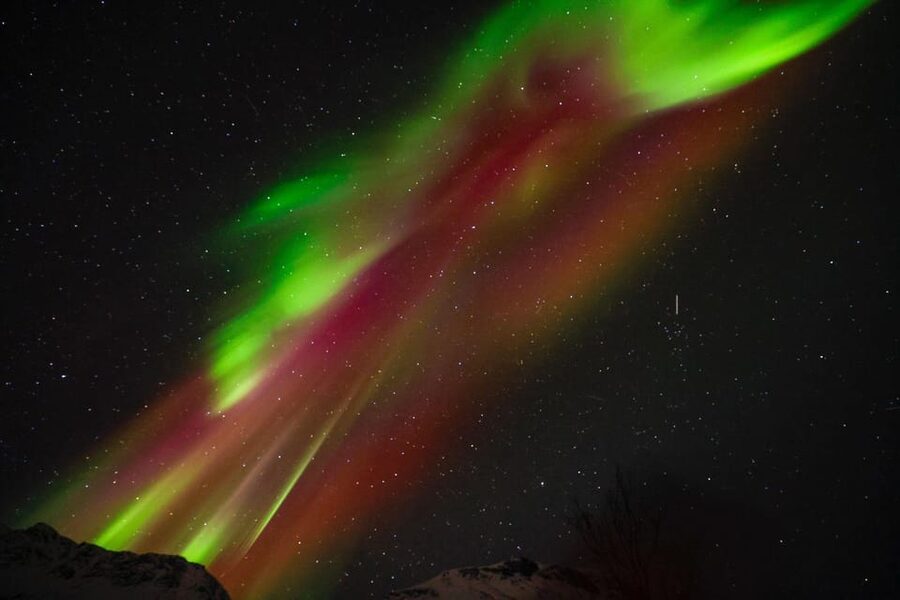 Tromsø Chinese Aurora Tour - Who will enjoy this Chinese-language aurora tour?