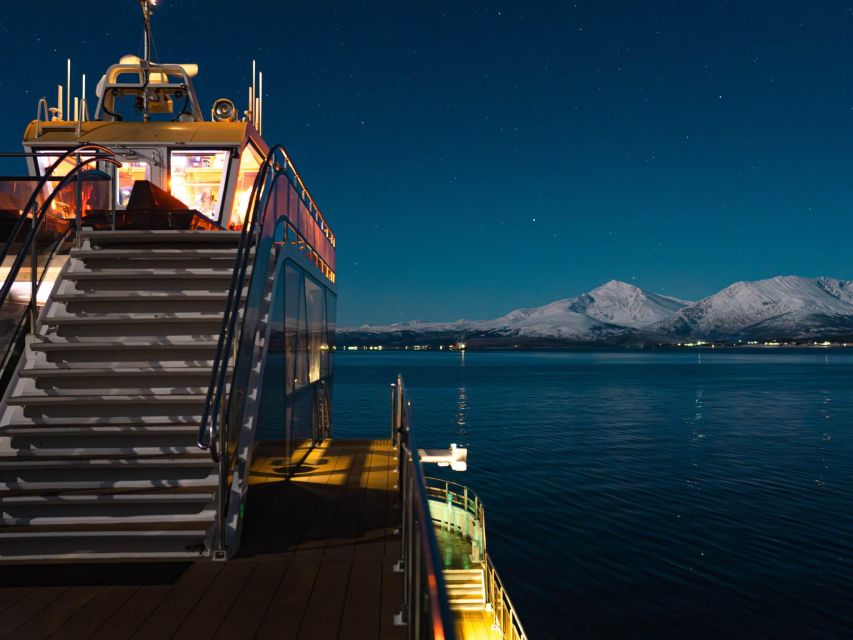 Tromsø: Electric Northern Lights Cruise - Who should book this cruise?