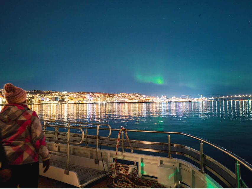 Tromsø: Electric Northern Lights Cruise - Waiting for Aurora without freezing
