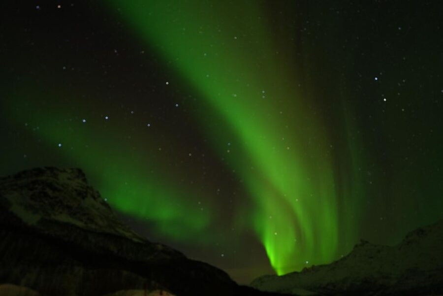 Tromsø: English/Spanish Aurora Pathfinder Tour with Photos - Who should choose this tour