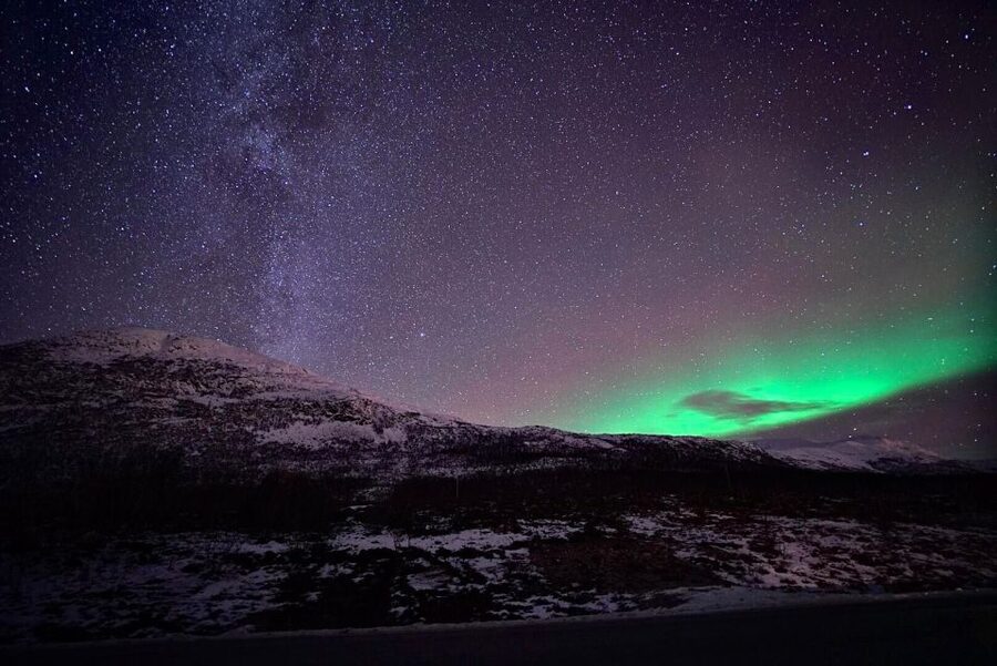Tromsø: Evening Aurora Cruise (dinner optional) - Key points to know before sailing