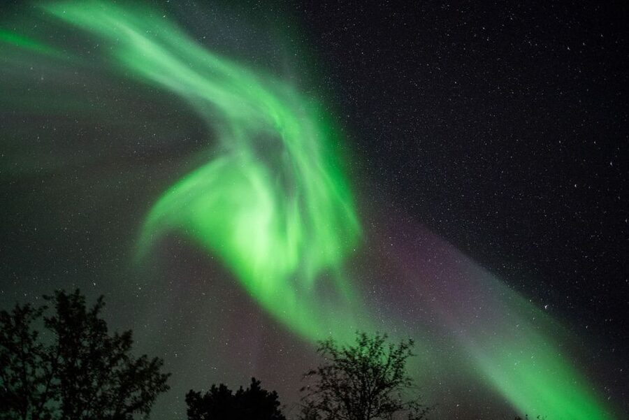 Tromsø: Evening Aurora Cruise (dinner optional) - Sailing from Kilengreensgate at 20:00