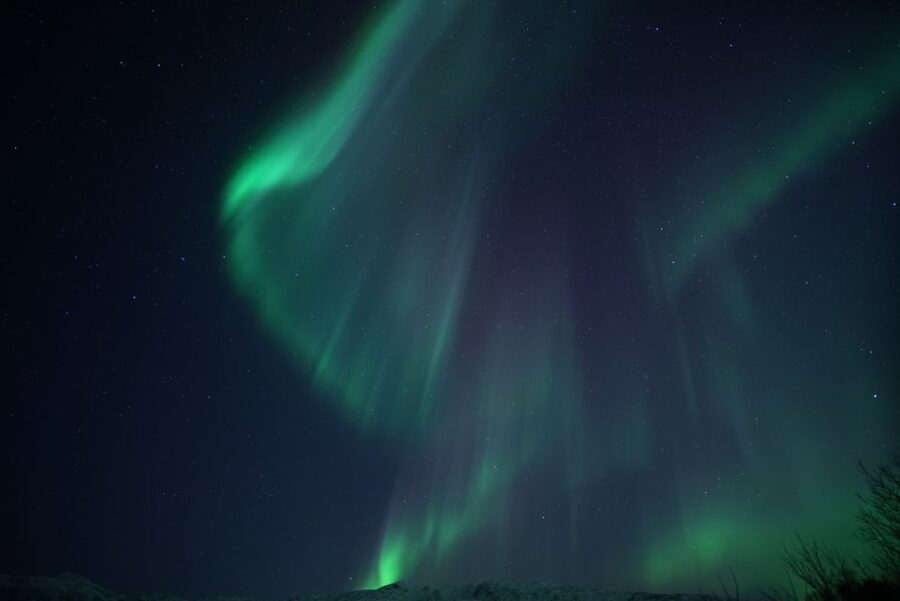 Tromsø: Evening Aurora Cruise (dinner optional) - What happens when the Aurora stays hidden
