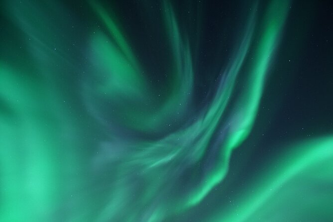 Tromsø: Evening Cruise with Northern Lights Opportunity - Why the cruise can beat another long bus tour