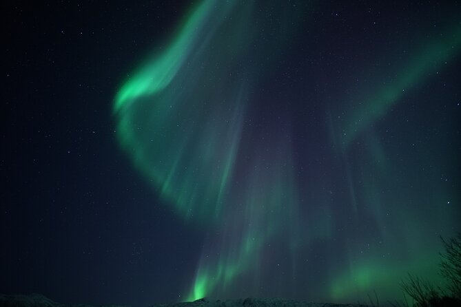 Tromsø: Evening Cruise with Northern Lights Opportunity - What the crew adds to the experience