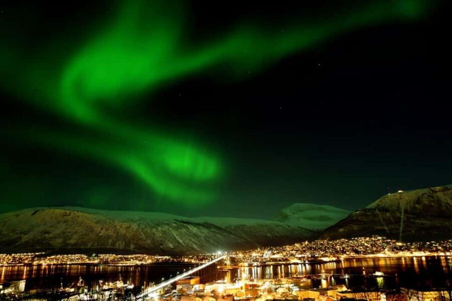 Tromsø: Evening dinner cruise with possible northern lights - Key points to know before you book
