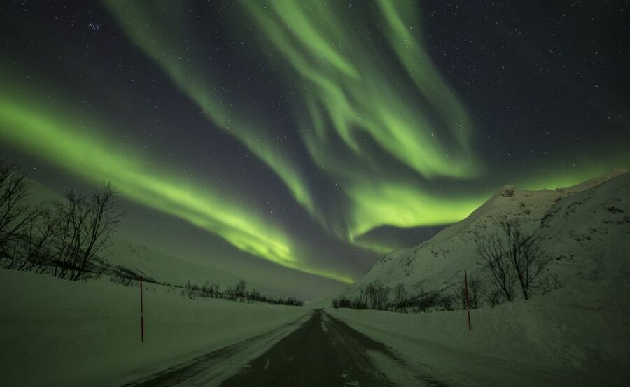 Tromsø: Expert Aurora Hunt - Thermal Gear, Food, Campfire - Reindeer Sausages and Hot Chocolate by the Fire