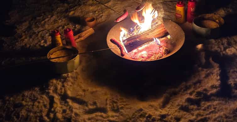 Tromsø: Expert Aurora Hunt - Thermal Gear, Food, Campfire - The Guides and Drivers Make the Difference