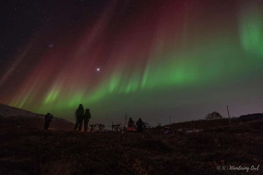Tromsø: Express Aurora Hunt - Key points to know before booking