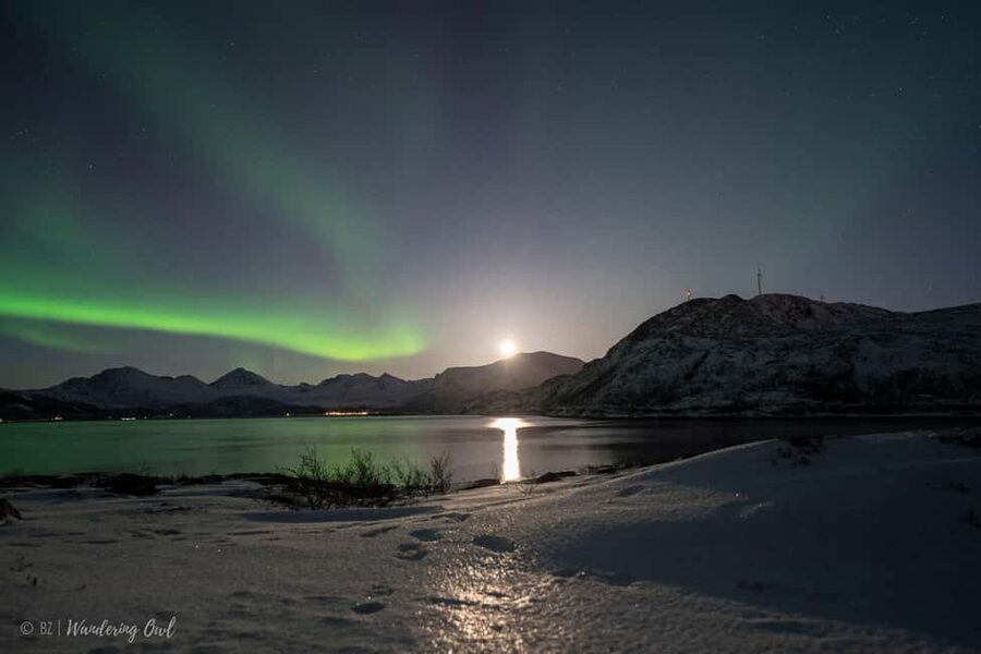 Tromsø: Express Aurora Hunt - Leaving city lights for a nearby Arctic stop