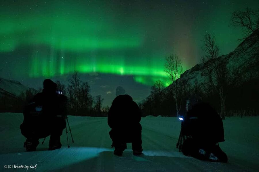 Tromsø: Express Aurora Hunt - Should you book the Express Aurora Hunt?
