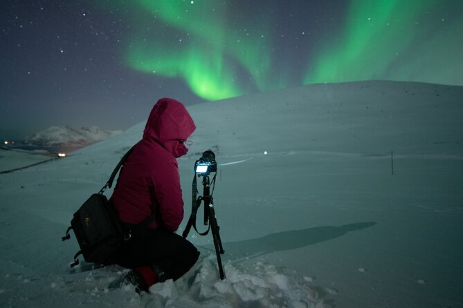 Tromsø: Express Aurora Hunt with Wandering Owl - What the four-hour evening feels like