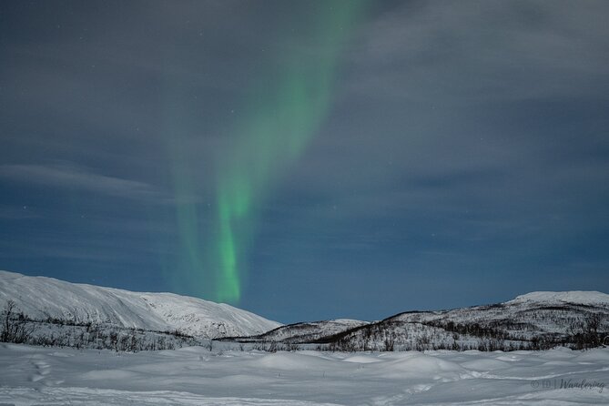 Tromsø: Express Aurora Hunt with Wandering Owl - Guides make the biggest difference