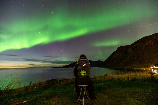 Tromsø Fjordland Aurora Chase Northern Lights by the Arctic Sea - Key points at a glance