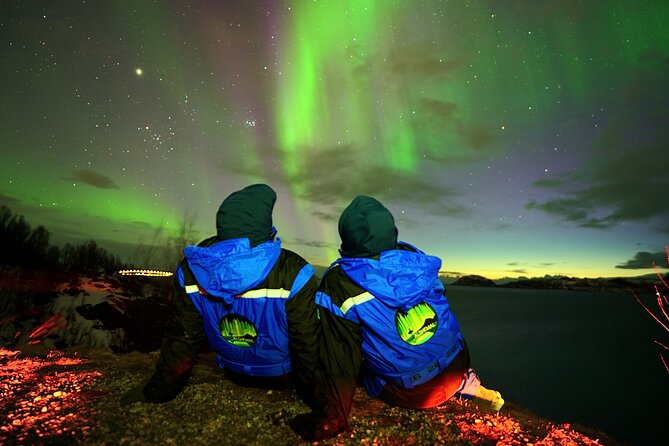 Tromsø Fjordland Aurora Chase Northern Lights by the Arctic Sea - Free photography that earns its place