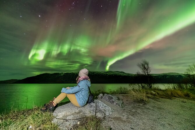 Tromsø Fjordland Aurora Chase Northern Lights by the Arctic Sea - Who will enjoy this chase most