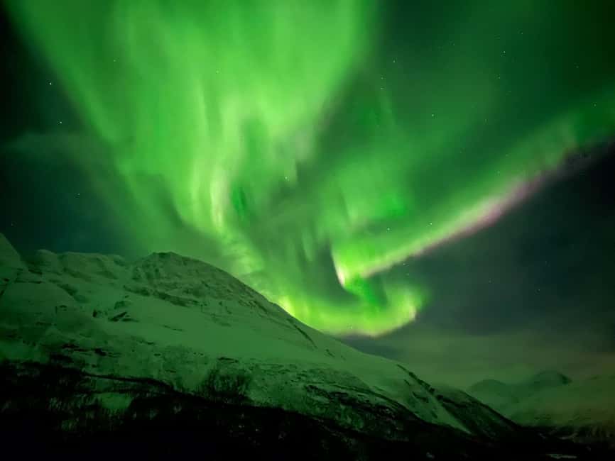 Tromsø: Full Night Magic of the Northern Lights - Why this Tromsø aurora tour works well