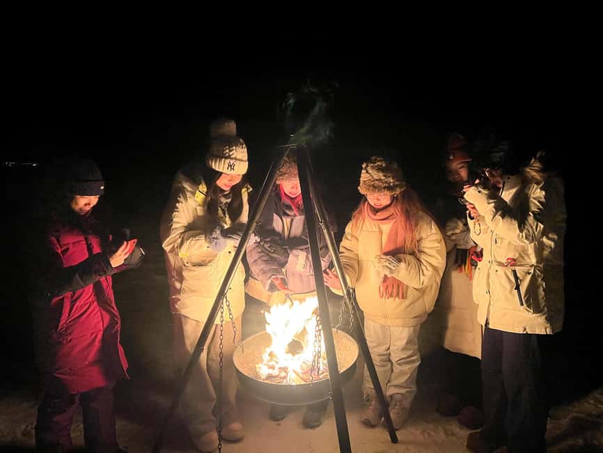Tromsø: Full Night Magic of the Northern Lights - What the guide adds to the night