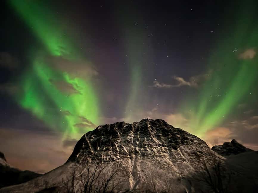 Tromsø: Full Night Magic of the Northern Lights - Is $157 a fair price?