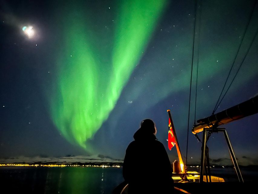 Tromso: Luxury Northern Lights Cruise with Hot Tub & Dinner - Reindeer stew, vegetarian soup, and hot drinks