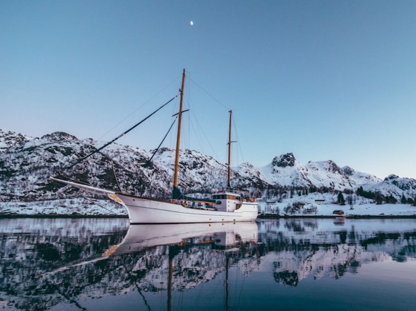 Tromso: Luxury Northern Lights Cruise with Hot Tub & Dinner - Who will enjoy this cruise most