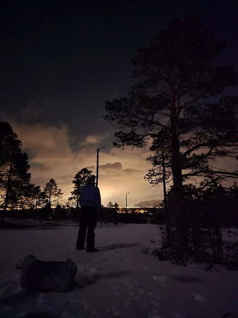 Tromsø: Northern Lights and a Starlit Adventure Tour - The high viewpoint and Arctic sky