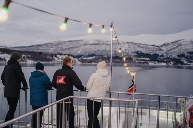 Tromsø, Northern Lights and Wilderness Evening Catamaran Cruise - The hard truth about weather and visibility