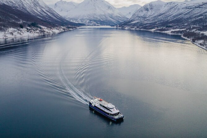 Tromsø, Northern Lights and Wilderness Evening Catamaran Cruise - Is $158.20 a fair price?