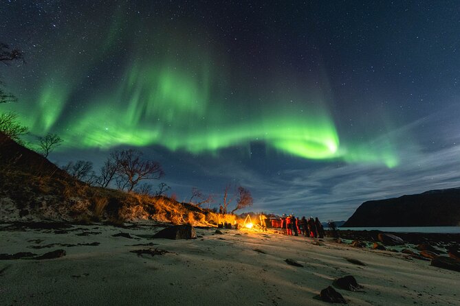 Tromsø: Northern Lights by Minibus - Free Photos and Warm Dinner - Key points at a glance