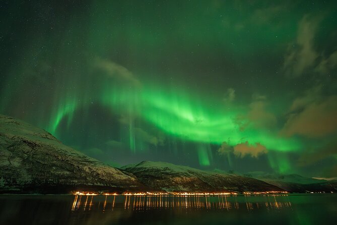 Tromsø: Northern Lights by Minibus - Free Photos and Warm Dinner - What the guiding feels like