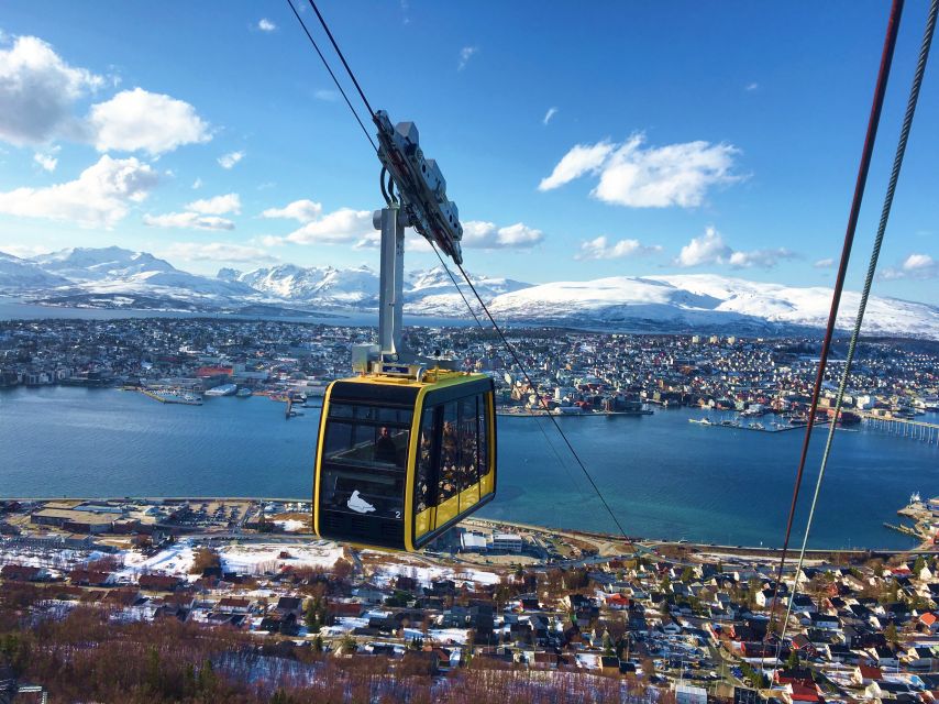 Tromso: Northern Lights Cable Car Excursion - Meeting Beside Tromsø Cathedral
