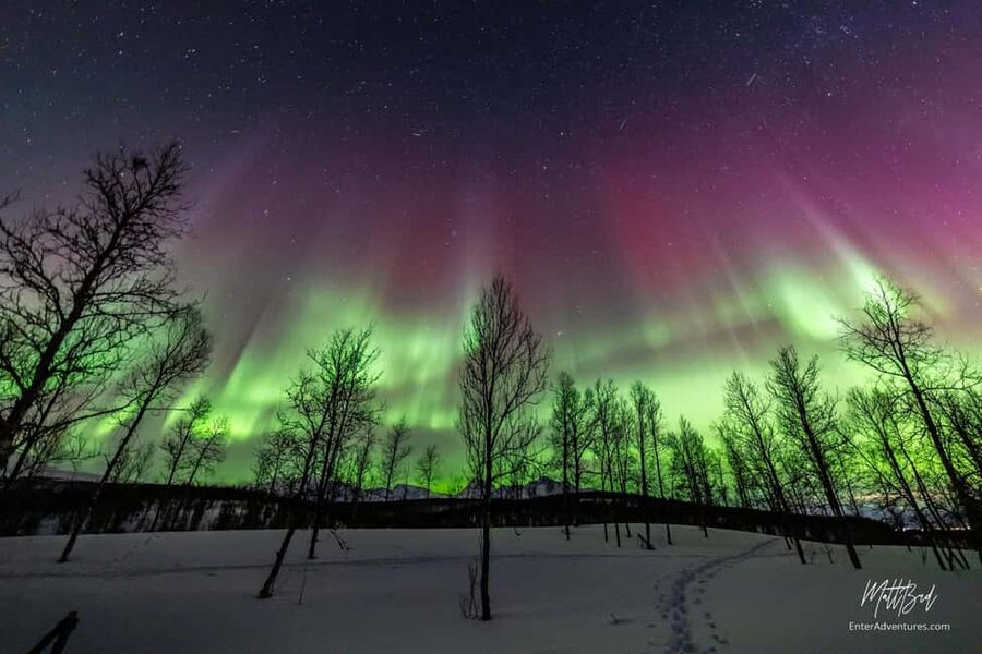Tromsø: Northern Lights Chase with Expert Guides & Photos - Should you book it?