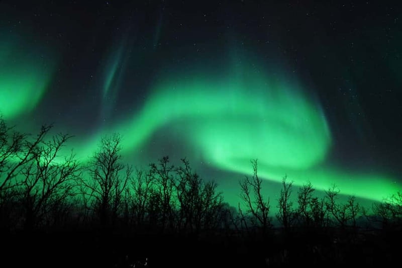 Tromsø: Northern Lights Chase with Local Guide & Free Photos - Waiting under the Arctic sky