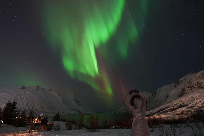 Tromsø: Northern Lights Chase with Local Guide & Free Photos - Price and value at $136