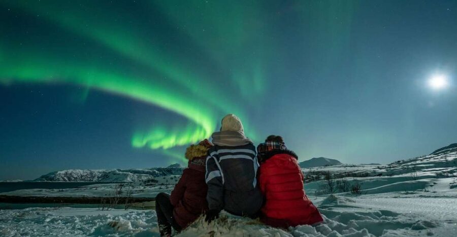 Tromso: Northern Lights Chase with Photo Package Included - What the six-and-a-half-hour evening looks like