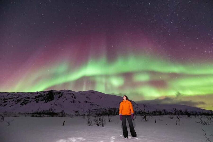 Tromsø: Northern Lights Chase with Photos and Guide - Warm drinks, snacks, and Arctic comfort