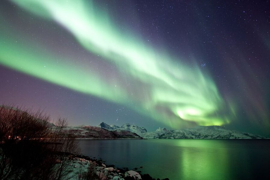 Tromsø: Northern Lights Cruise with 2nd Chance Guarantee - What makes this Tromsø aurora cruise worth considering