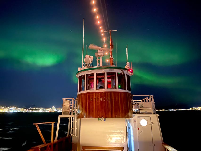 Tromsø: Northern Lights Dinner Cruise - Who should book this cruise?