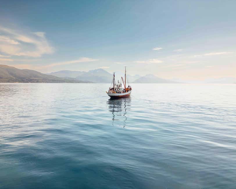 Tromsø: Northern Lights Dinner Cruise - Why Hermes II gives this cruise its character